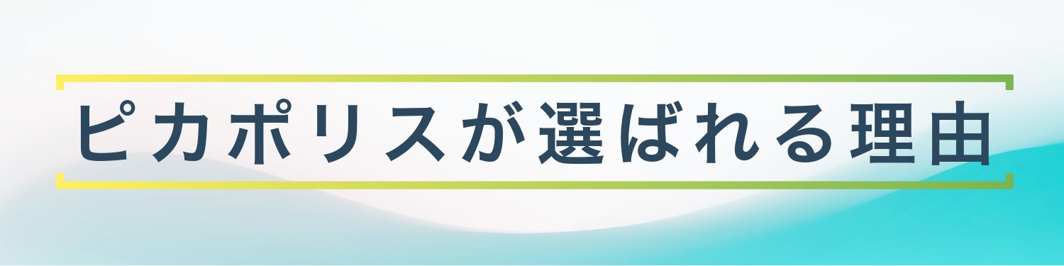 ピカポリスが選ばれる理由